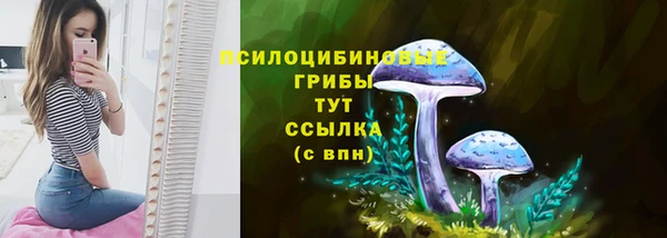 mix Алексин