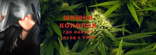 дживик Алзамай