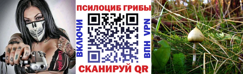 Псилоцибиновые грибы мицелий  Железногорск 