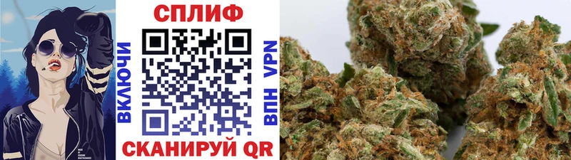 где найти наркотики  Железногорск  Бошки Шишки VHQ 